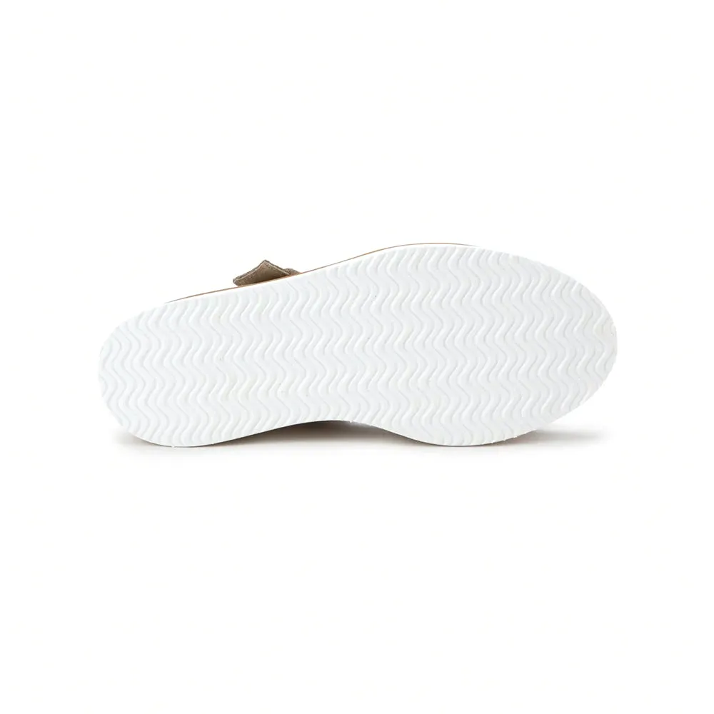 Crepe (124100)