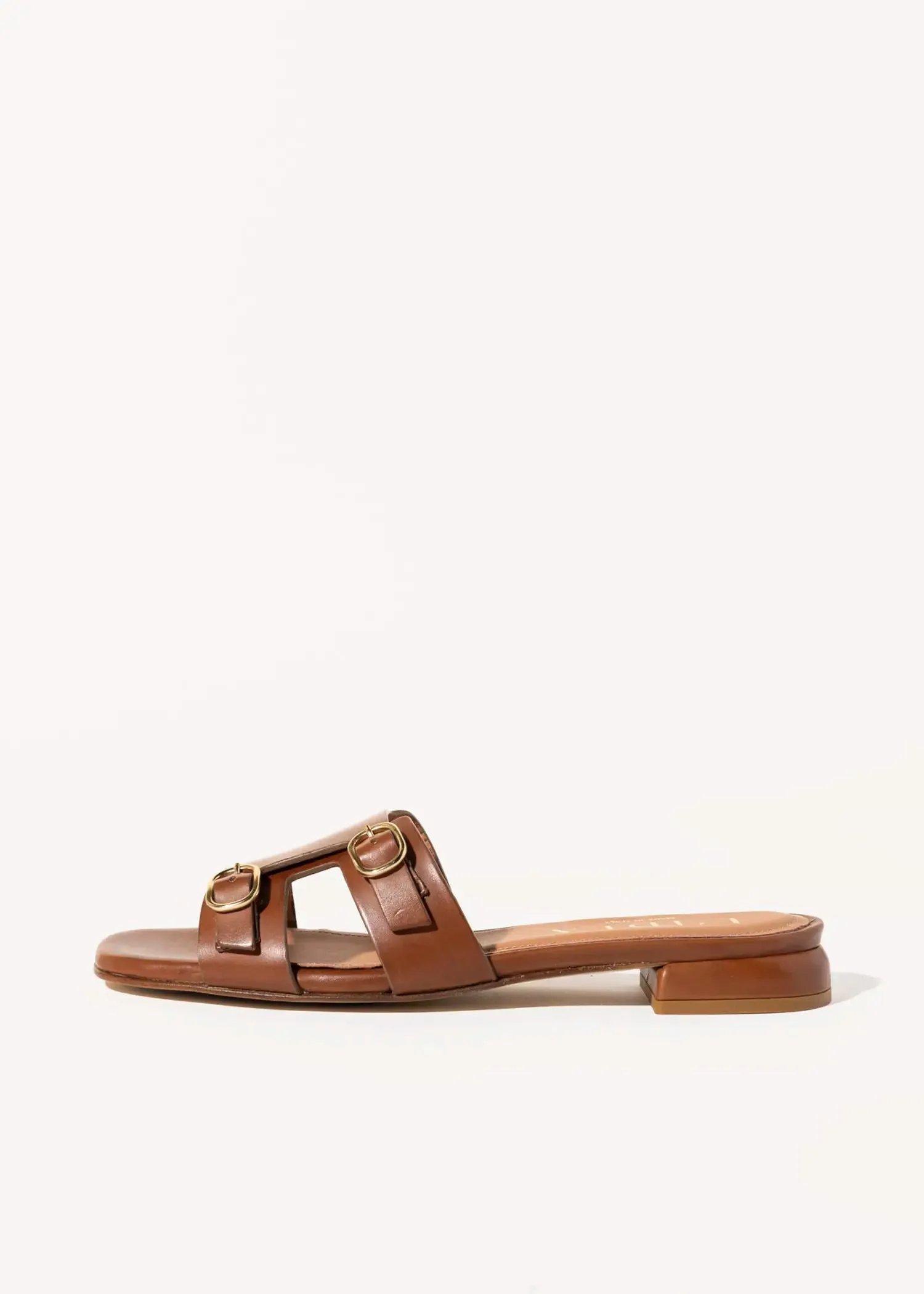 Leather Monk Strap Sandal